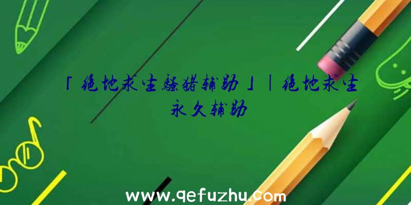 「绝地求生骚猪辅助」|绝地求生